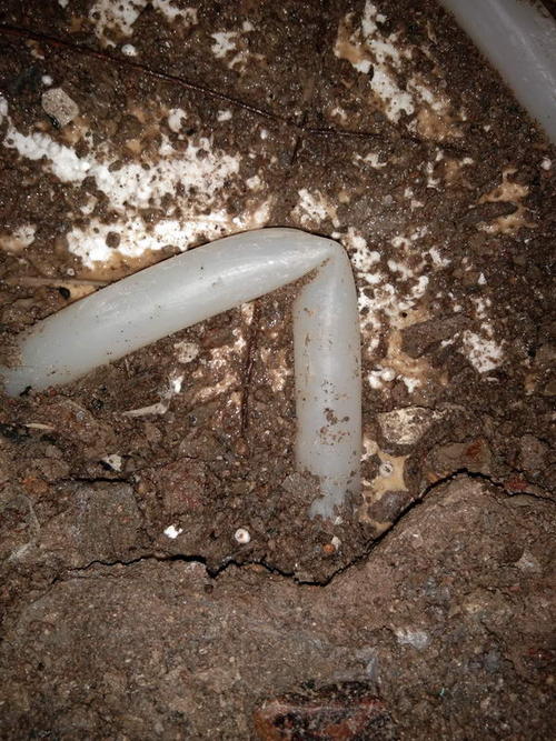 林甸堵点精准查找